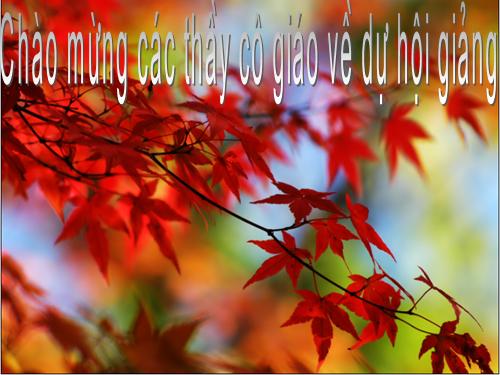 Bài 40. Đa dạng và đặc điểm chung của lớp Bò sát