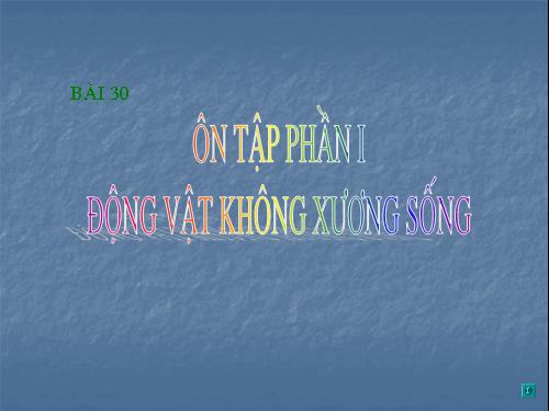 Bài 30. Ôn tập phần I - Động vật không xương sống