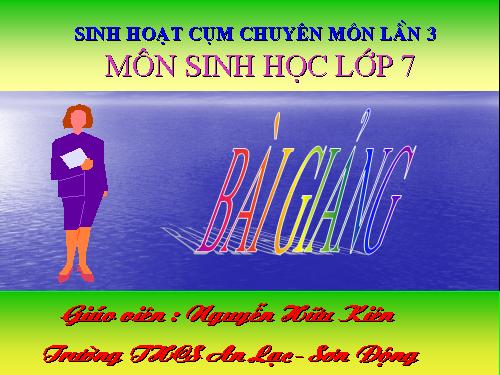 Bài 41. Chim bồ câu