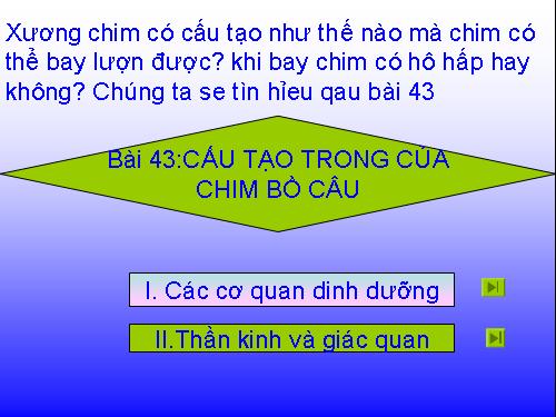 Bài 43. Cấu tạo trong của chim bồ câu