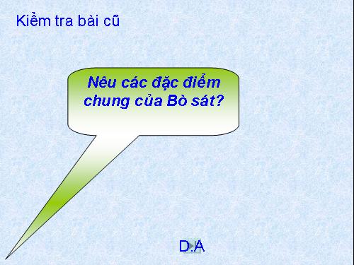 Bài 41. Chim bồ câu