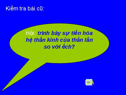 Bài 40. Đa dạng và đặc điểm chung của lớp Bò sát