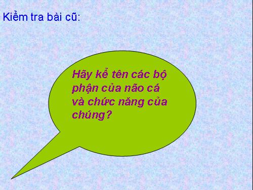 Bài 34. Đa dạng và đặc điểm chung của các lớp Cá