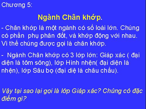 Bài 22. Tôm sông