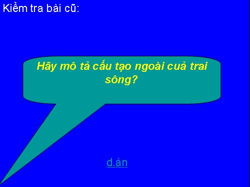 Bài 19. Một số thân mềm khác