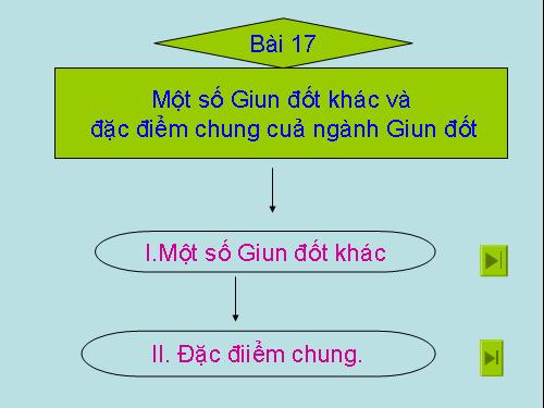 Bài 17. Một số giun đốt khác và đặc điểm chung của ngành Giun đốt
