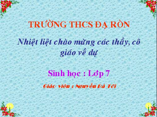 Bài 43. Cấu tạo trong của chim bồ câu