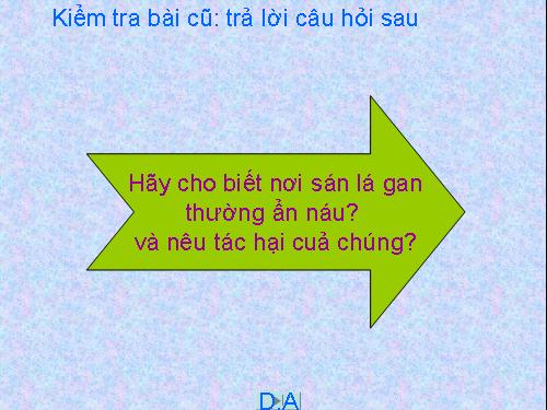 Bài 12. Một số giun dẹp khác và đặc điểm chung của ngành Giun dẹp