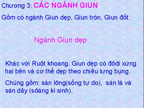 Bài 11. Sán lá gan