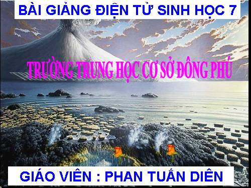 Bài 13. Giun đũa