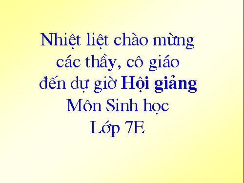 Bài 18. Trai sông