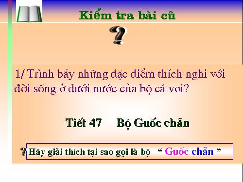 Bài 51. Đa dạng của lớp Thú: Các bộ Móng guốc và bộ Linh trưởng