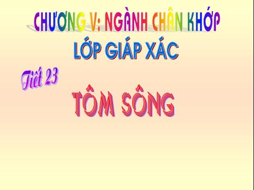 Bài 22. Tôm sông