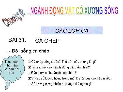 Bài 31. Cá chép