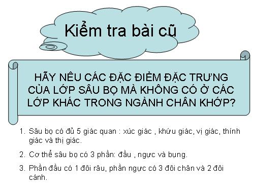 Bài 29. Đặc điểm chung và vai trò của ngành Chân khớp