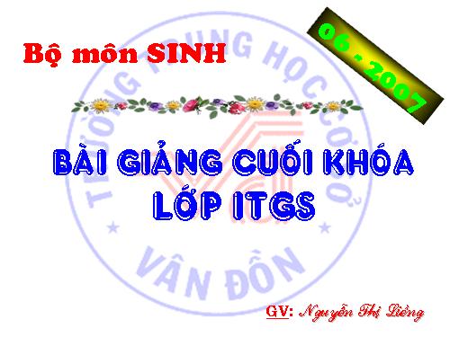 Bài 49. Đa dạng của lớp Thú: Bộ Dơi và bộ Cá voi