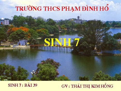 Bài 39. Cấu tạo trong của thằn lằn