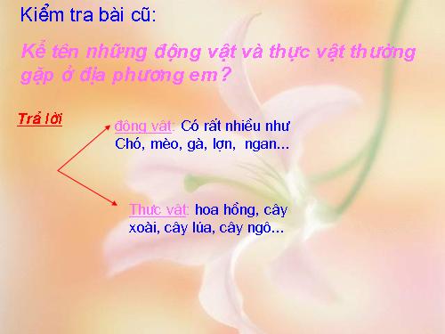 Bài 2. Phân biệt động vật với thực vật. Đặc điểm chung của động vật