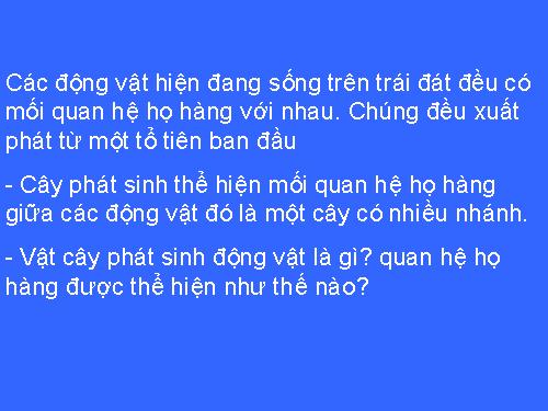 Bài 56. Cây phát sinh giới Động vật