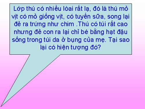 Bài 48. Đa dạng của lớp Thú: Bộ Thú huyệt, bộ Thú túi