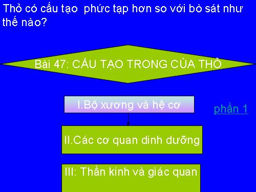 Bài 47. Cấu tạo trong của thỏ