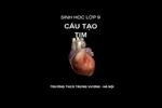 Bài 43. Cấu tạo trong của chim bồ câu