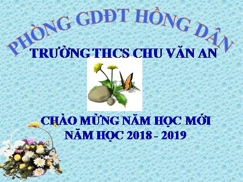 Chương II. §2. Hàm số bậc nhất