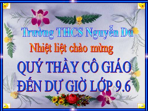 Các bài Luyện tập