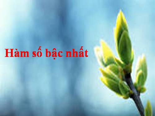 Chương II. §2. Hàm số bậc nhất