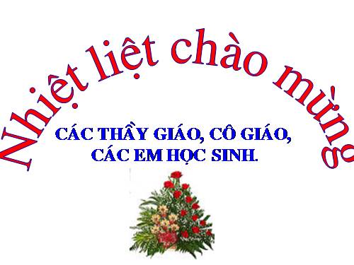 Chương III. §1. Phương trình bậc nhất hai ẩn