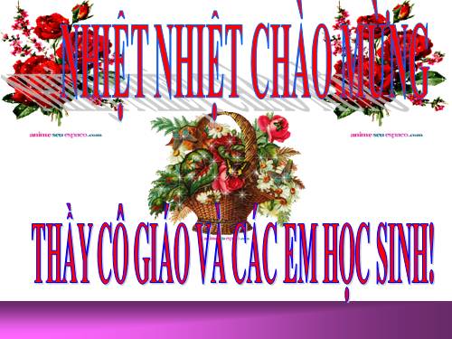 Các bài Luyện tập