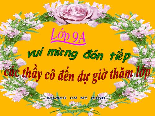 Chương II. §2. Hàm số bậc nhất
