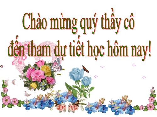 Chương II. §3. Đồ thị của hàm số y = ax + b (a ≠ 0)