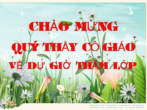 Chương IV. §7. Phương trình quy về phương trình bậc hai