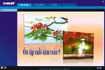 Các bài Luyện tập