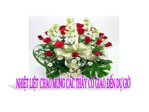 Chương IV. §1. Hàm số y = ax² (a ≠ 0)