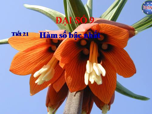 Chương II. §2. Hàm số bậc nhất