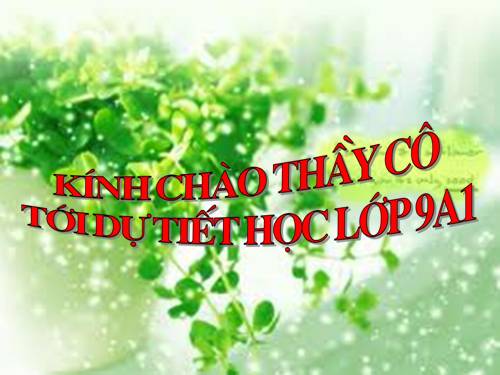 Chương II. §2. Hàm số bậc nhất