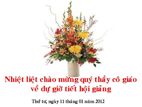 Chương III. §4. Giải hệ phương trình bằng phương pháp cộng đại số