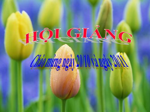 Chương II. §2. Hàm số bậc nhất