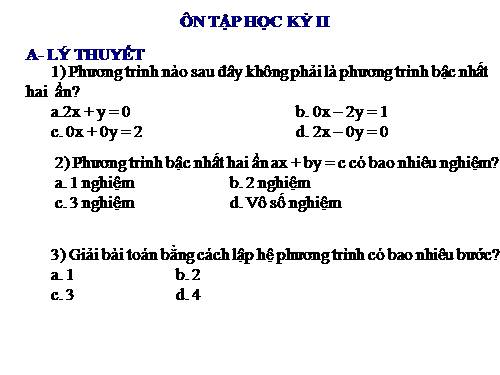 Các bài Luyện tập