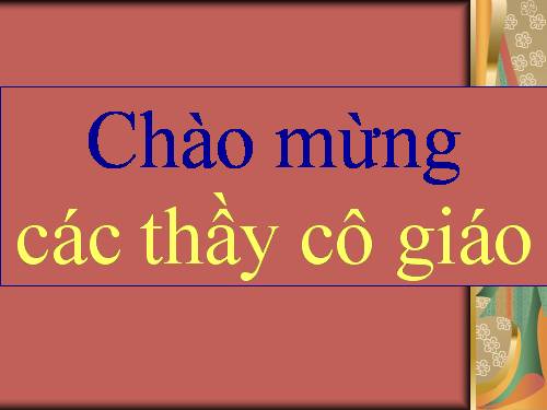 Các bài Luyện tập