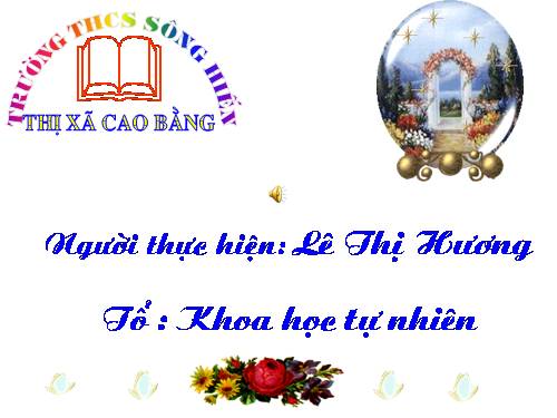 Các bài Luyện tập