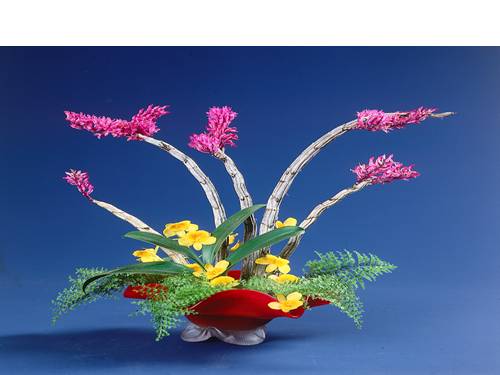 Chương IV. §3. Phương trình bậc hai một ẩn