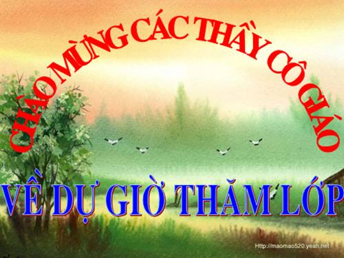 Các bài Luyện tập