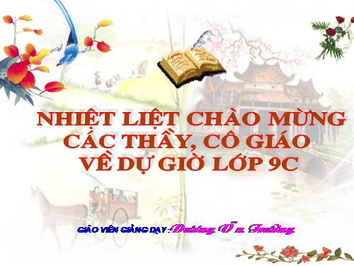 Các bài Luyện tập
