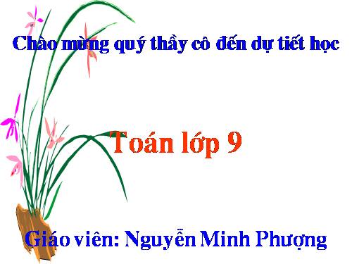 tiết 24 luyện tập đại số 9