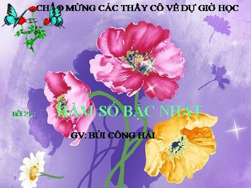 Chương II. §2. Hàm số bậc nhất