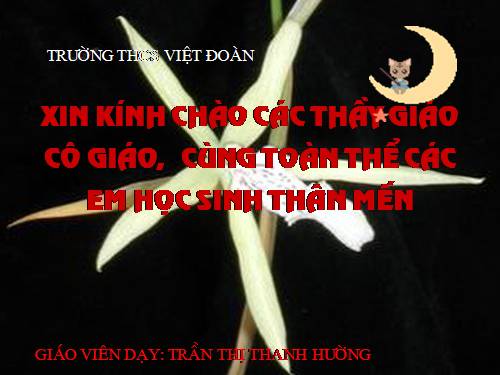 Các bài Luyện tập