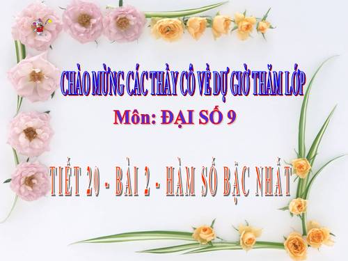 Chương II. §2. Hàm số bậc nhất